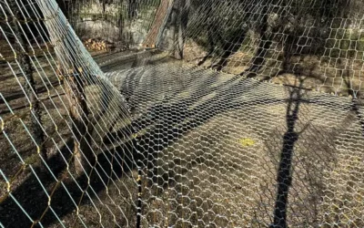 The double by the river